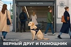 Верный друг и помощник