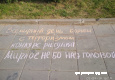 В Крюково прошла акция «Мирное небо над головой»