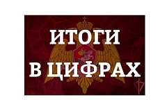 Более 4 тысяч выездов по сигналу «тревога» совершили столичные росгвардейцы за прошлую неделю
