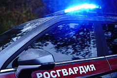 Столичные росгвардейцы задержали мужчину с фальшивым документом