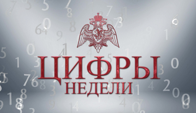 Безопасность более 250 массовых мероприятий в столице была обеспечена личным составом Главного управления Росгвардии по Москве на прошлой неделе