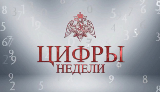 Итоги служебно-боевой деятельности подразделений Главного управления Росгвардии по г. Москве за прошедшую неделю